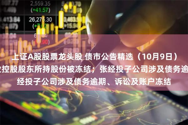 上证A股股票龙头股 债市公告精选（10月9日）|杉杉股份、永杉锂业控股股东所持股份被冻结；张经投子公司涉及债务逾期、诉讼及账户冻结