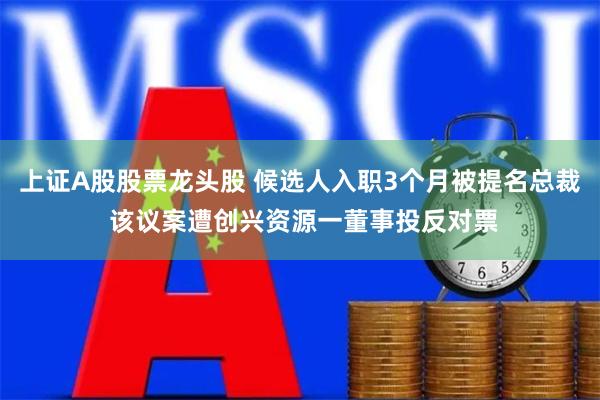 上证A股股票龙头股 候选人入职3个月被提名总裁 该议案遭创兴资源一董事投反对票